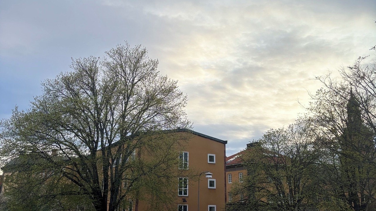 Photo of Others in Falun