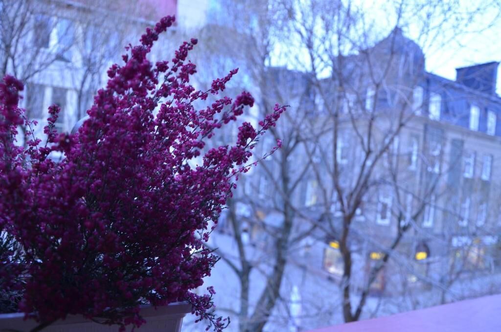 Photo of Outdoor in Ostersund