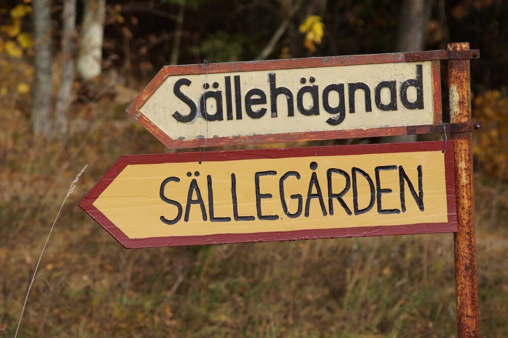 Photo of Outdoor in Holsbybrunn