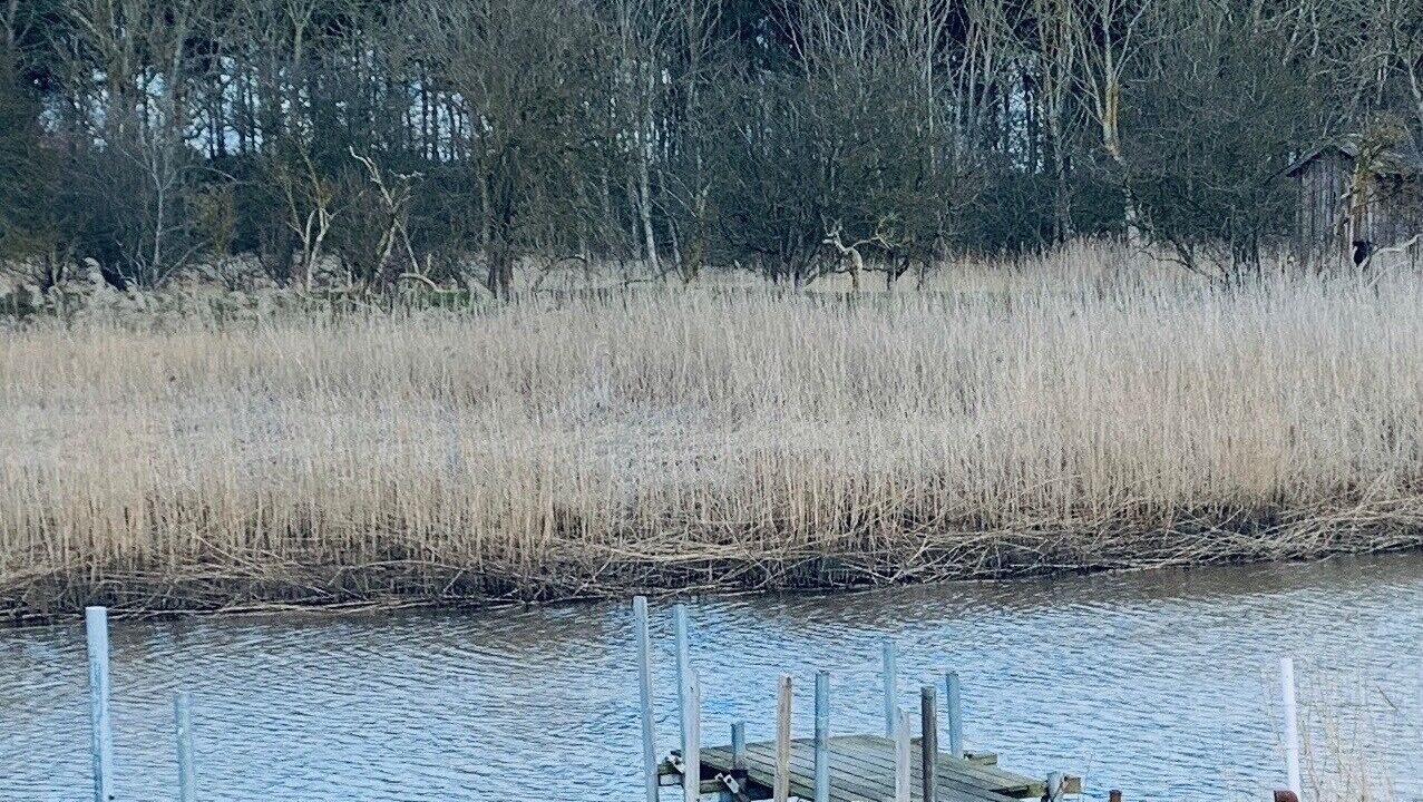 Photo of Outdoor in Angelholm