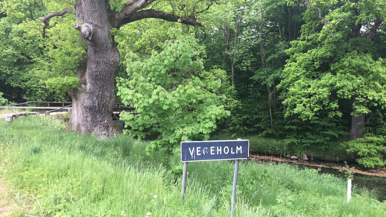 Photo of Outdoor in Angelholm