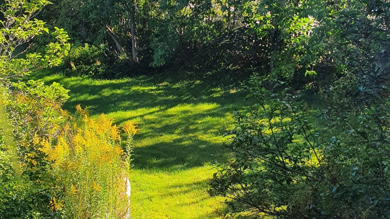 Photo of Outdoor in Kisa