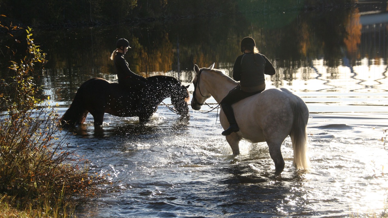 Photo of Outdoor in Vuollerim