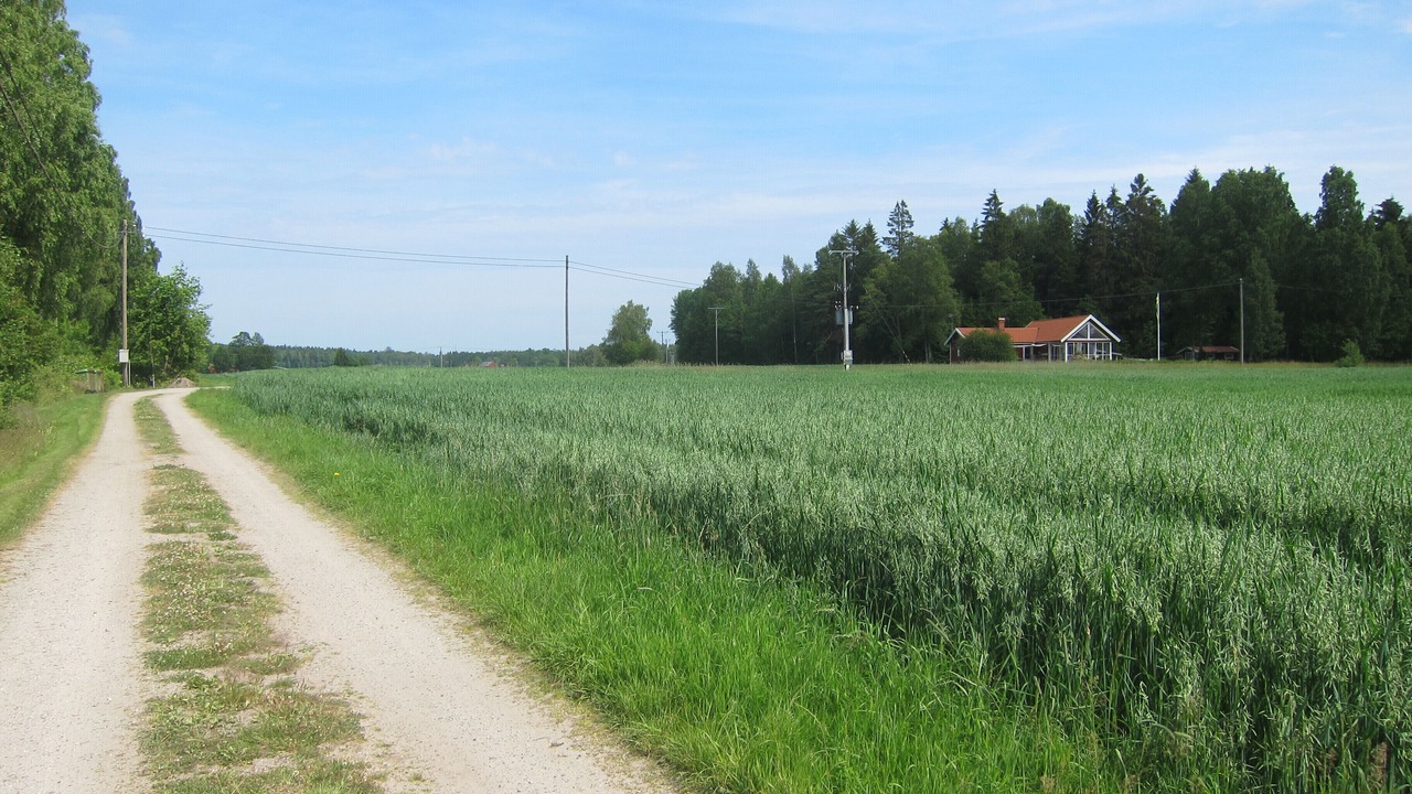Photo of Outdoor in Sorbo