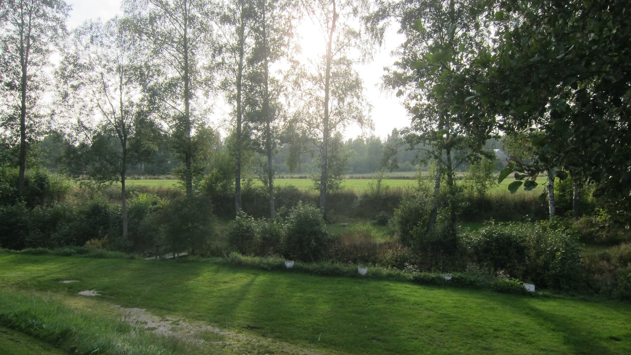 Photo of Outdoor in Sorbo