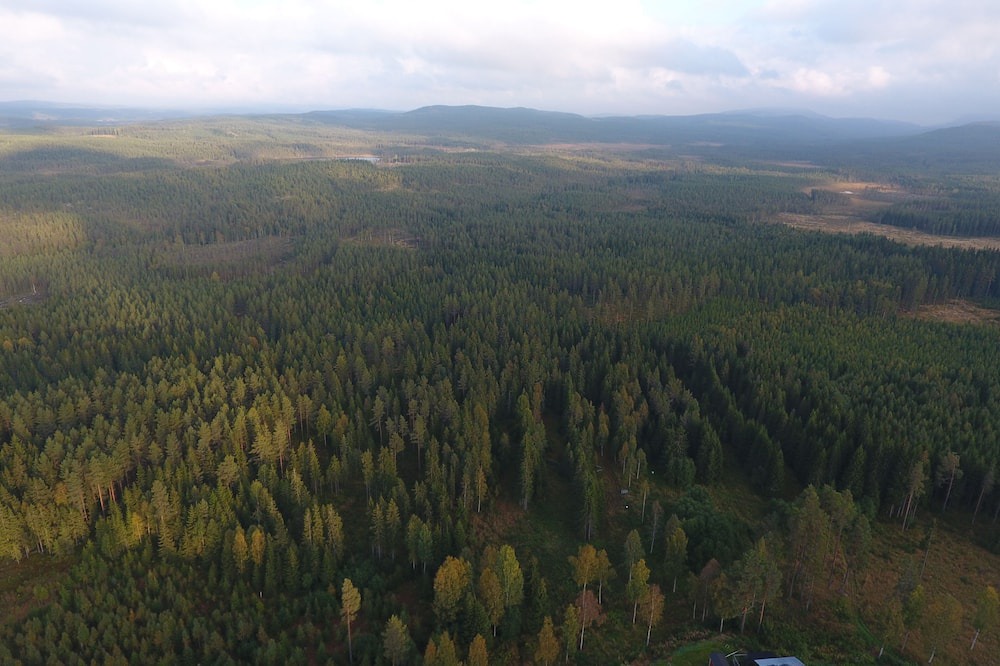 Photo of Outdoor in Bograngen