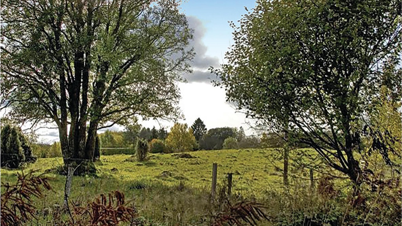 Photo of Outdoor in Plingshult