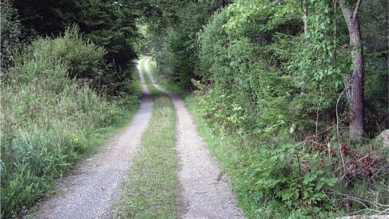 Photo of Outdoor in Plingshult