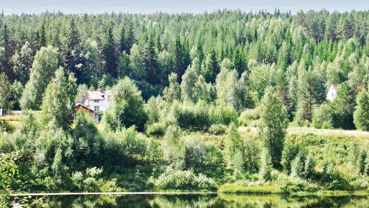 Photo of Outdoor in Holjes