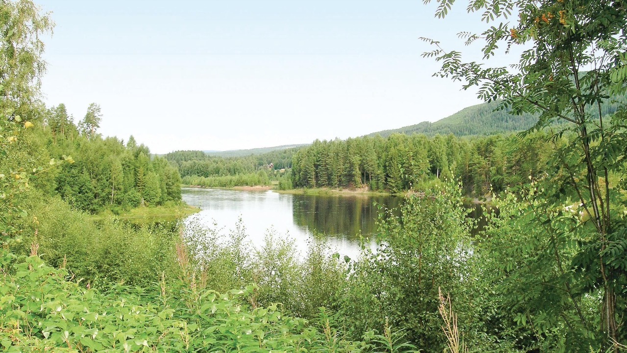 Photo of Others in Holjes