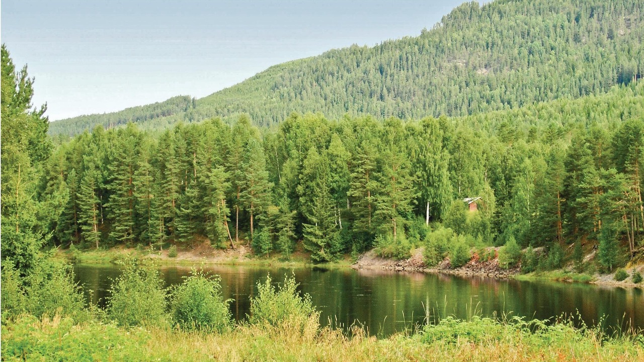 Photo of Outdoor in Holjes