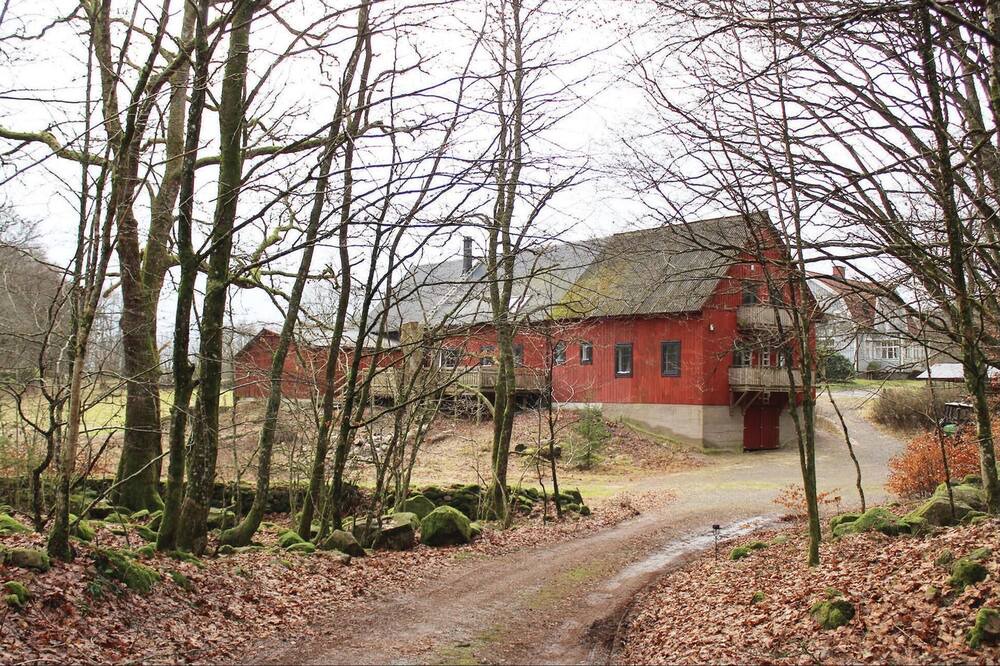 Photo of Outdoor in Markaryd Municipality