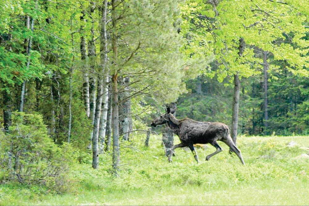 Photo of Others in Overbyn
