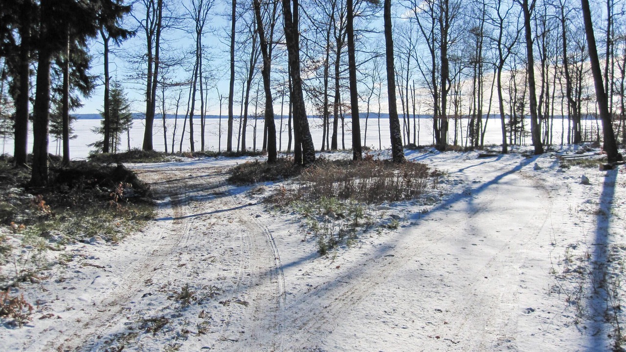 Photo of Others in Stavsjo