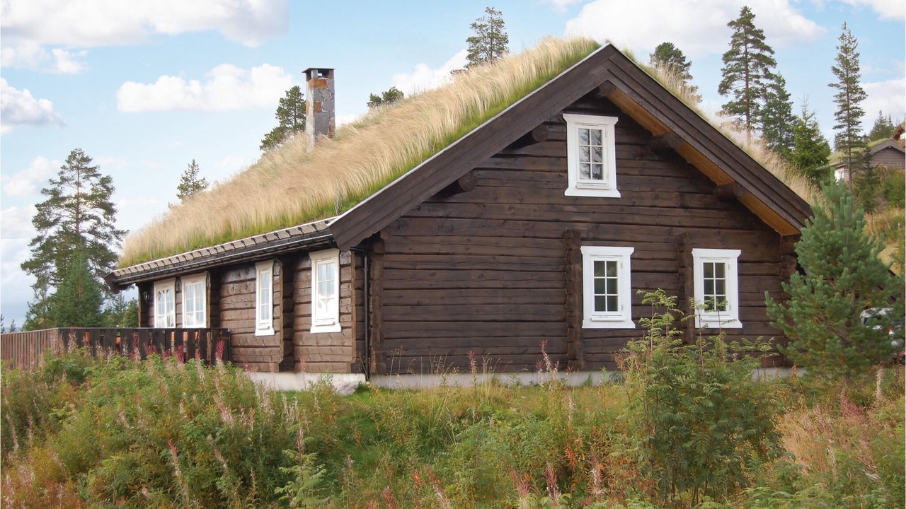 Photo of Outdoor in Trysil