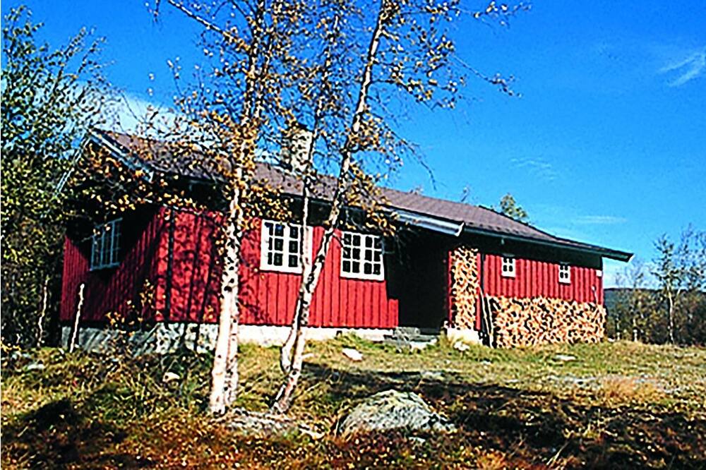Photo of Outdoor in Hol