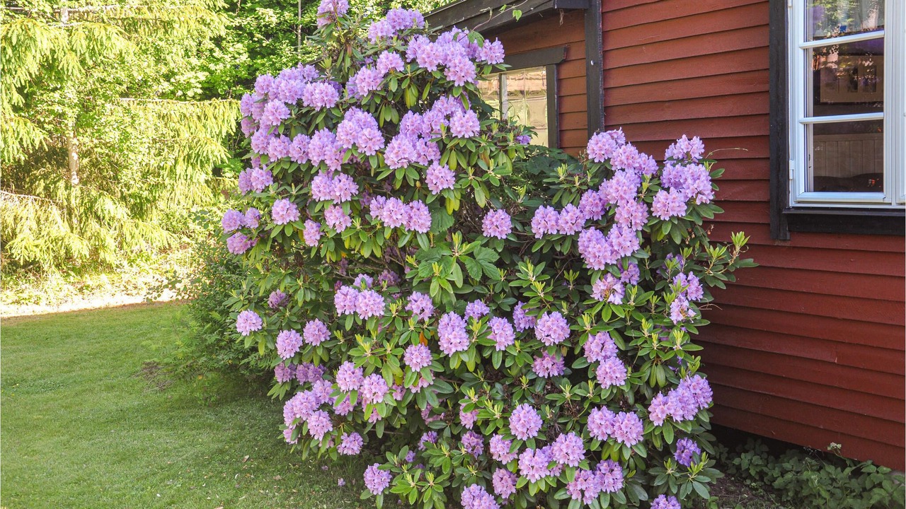 Photo of Outdoor in Tibro