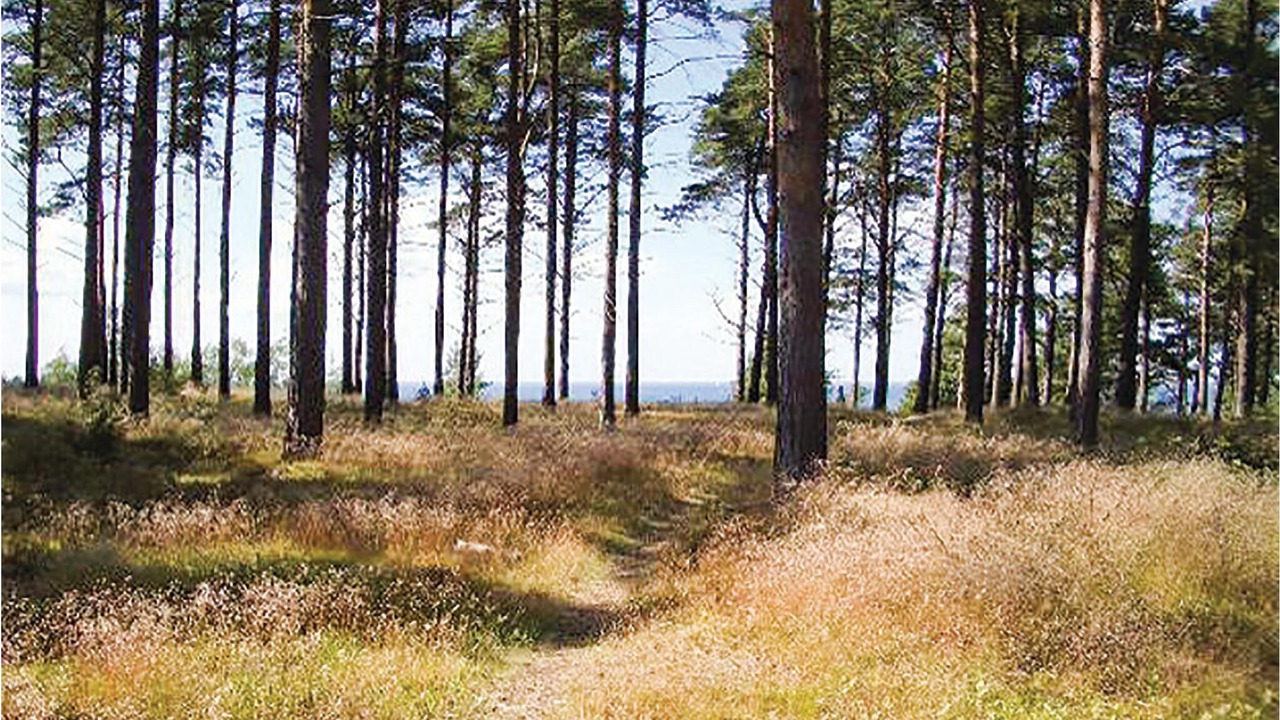 Photo of Outdoor in Stora Fro
