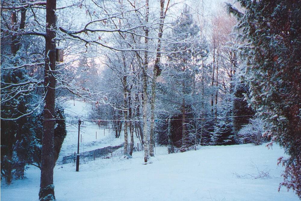 Photo of Others in Drakabygget
