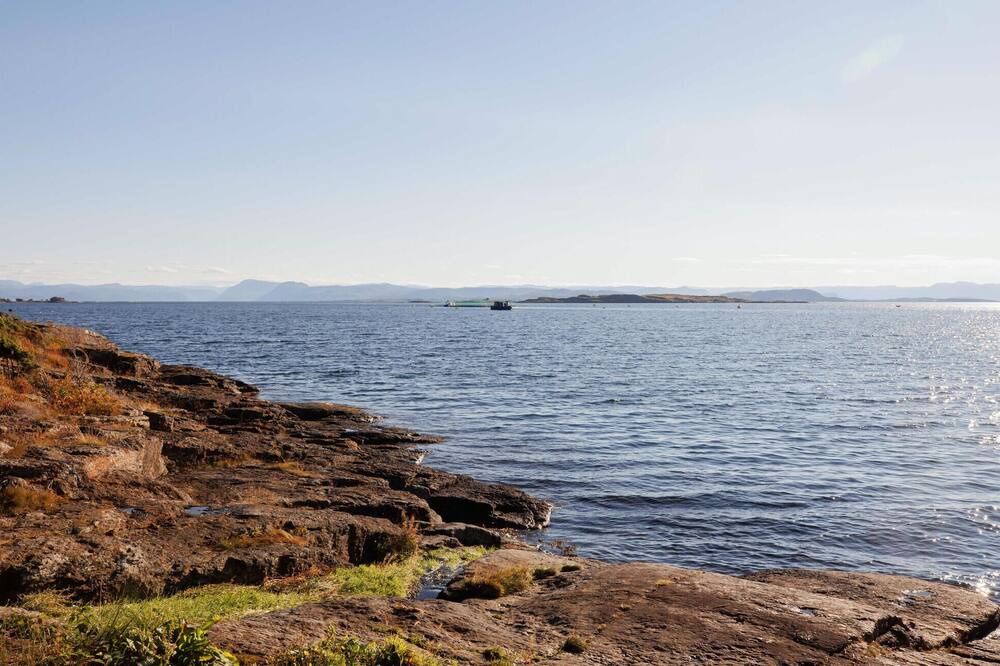 Photo of Others in Hervik