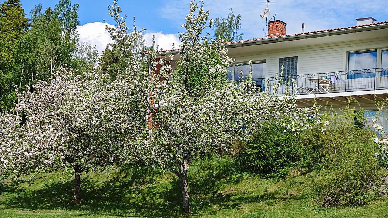 Photo of Outdoor in Nashulta