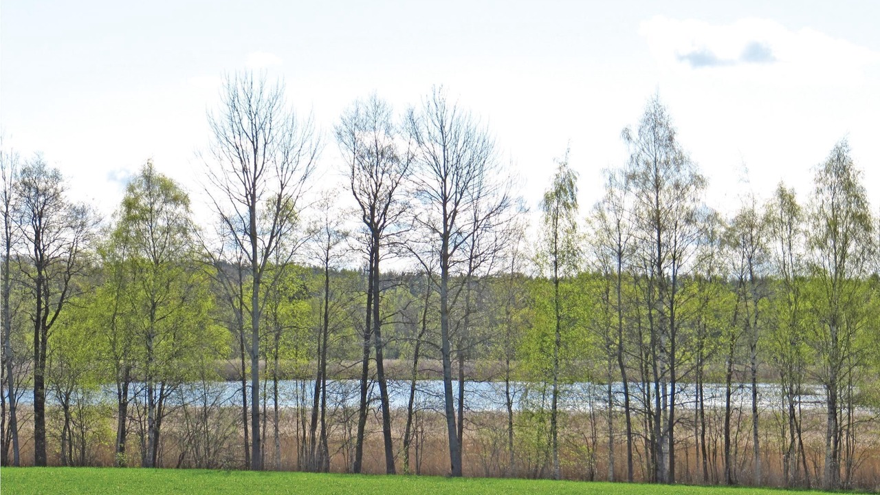 Photo of Others in Nashulta