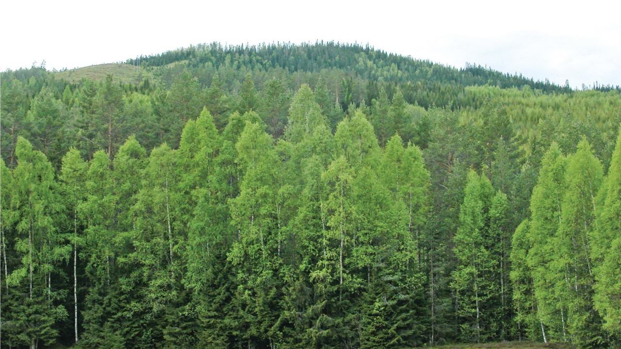 Photo of Outdoor in Holjes