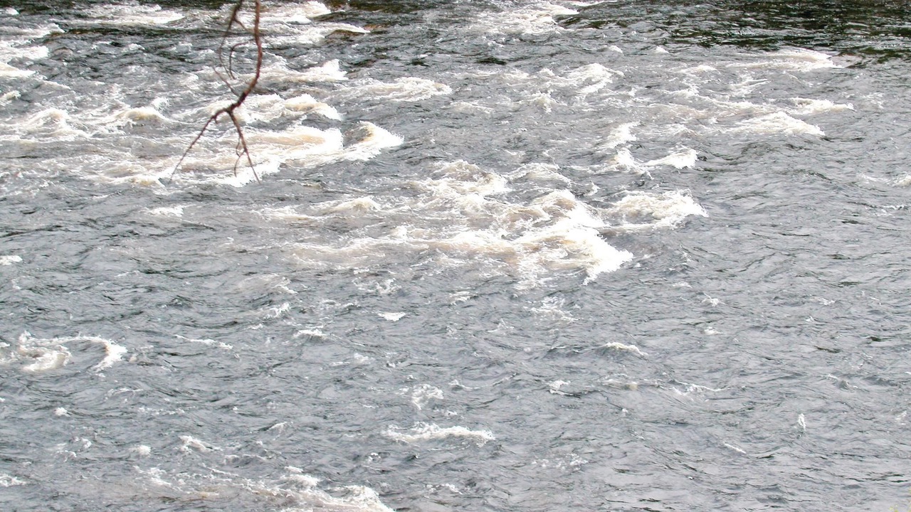 Photo of Others in Holjes