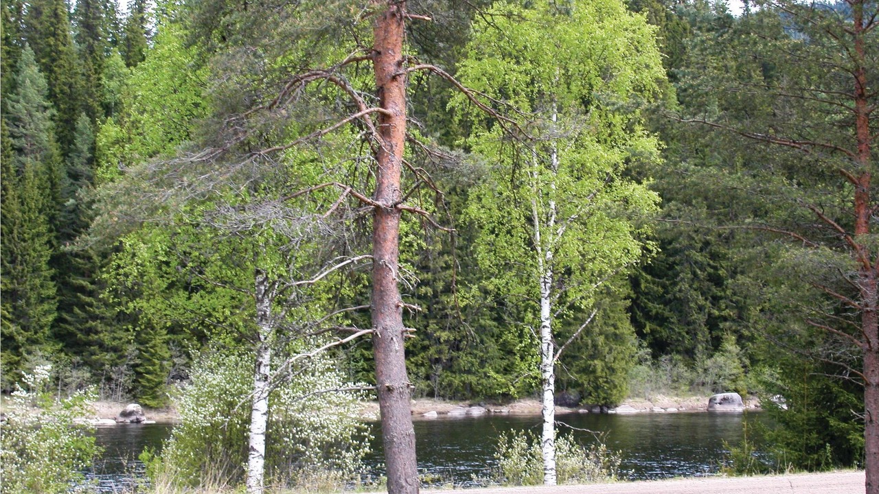 Photo of Outdoor in Holjes