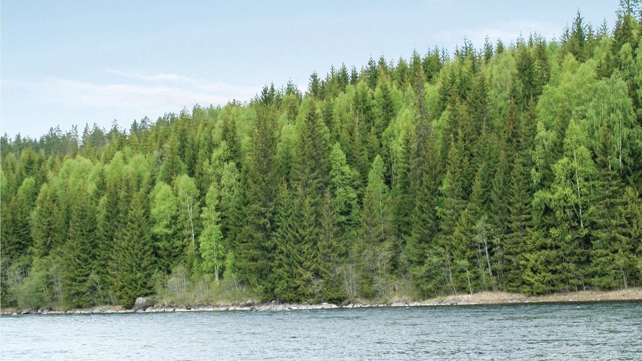 Photo of Outdoor in Holjes