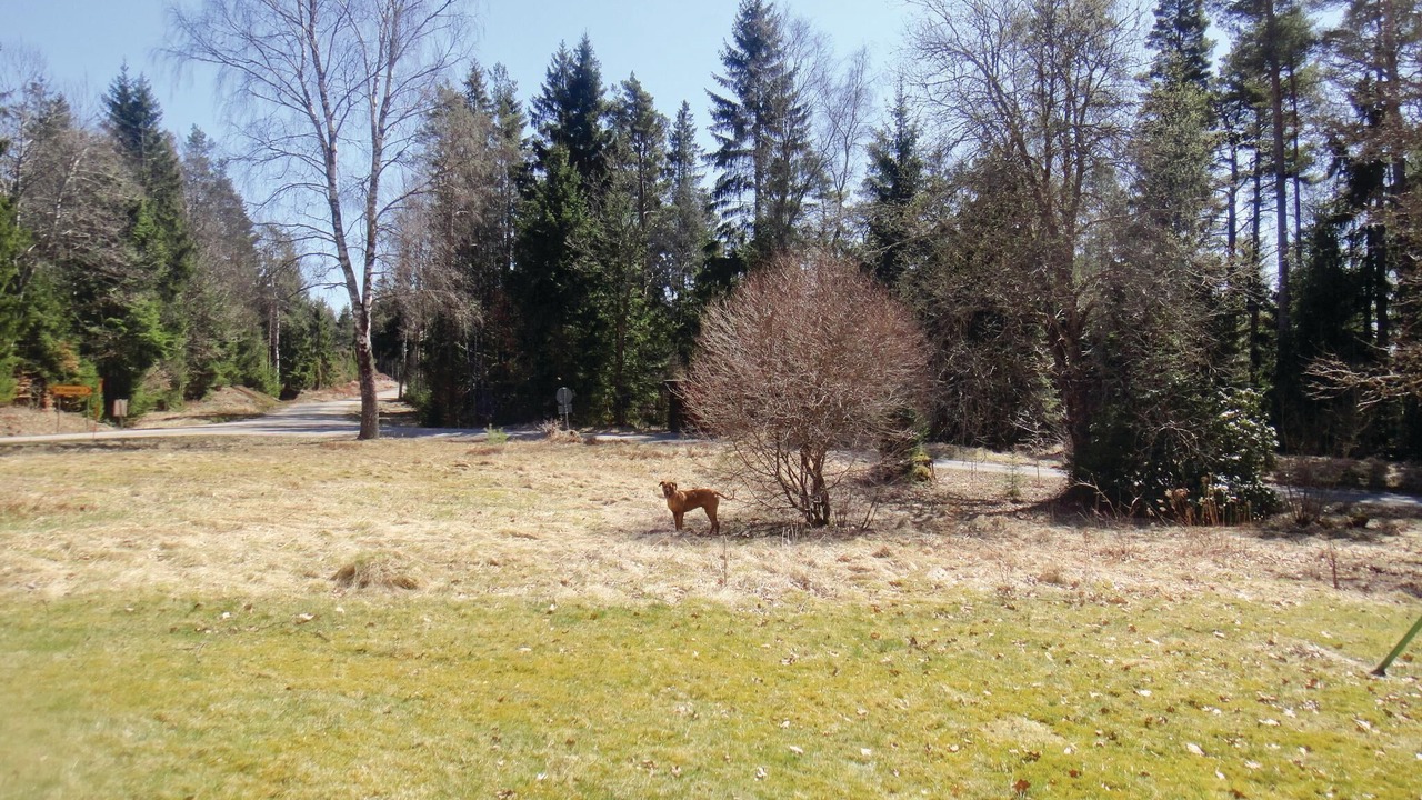 Photo of Outdoor in Markaryd Municipality