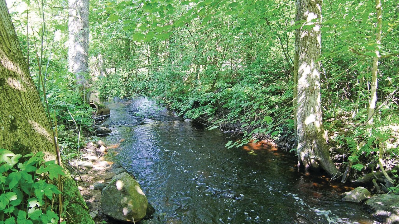 Photo of Outdoor in Visseltofta