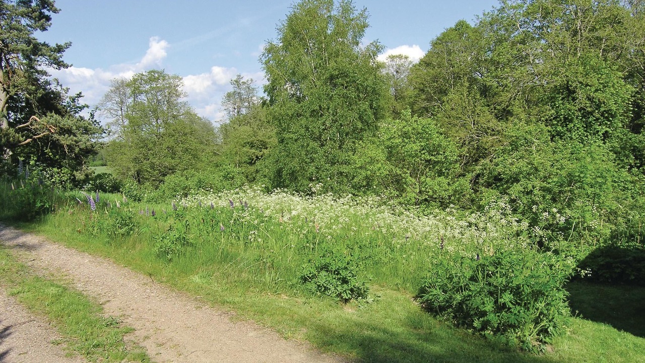 Photo of Outdoor in Visseltofta