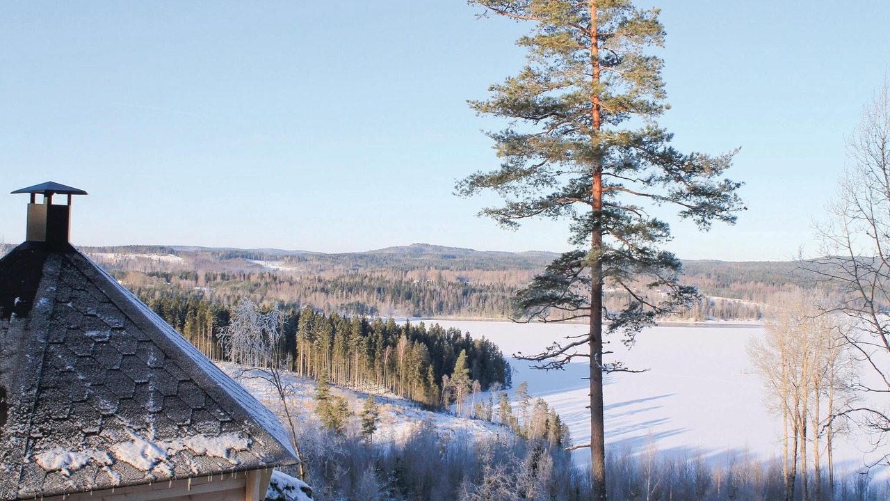 Photo of Others in Svanskog