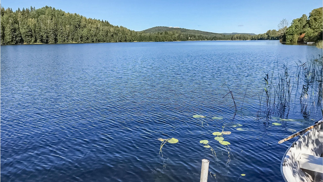 Photo of Outdoor in Svanskog