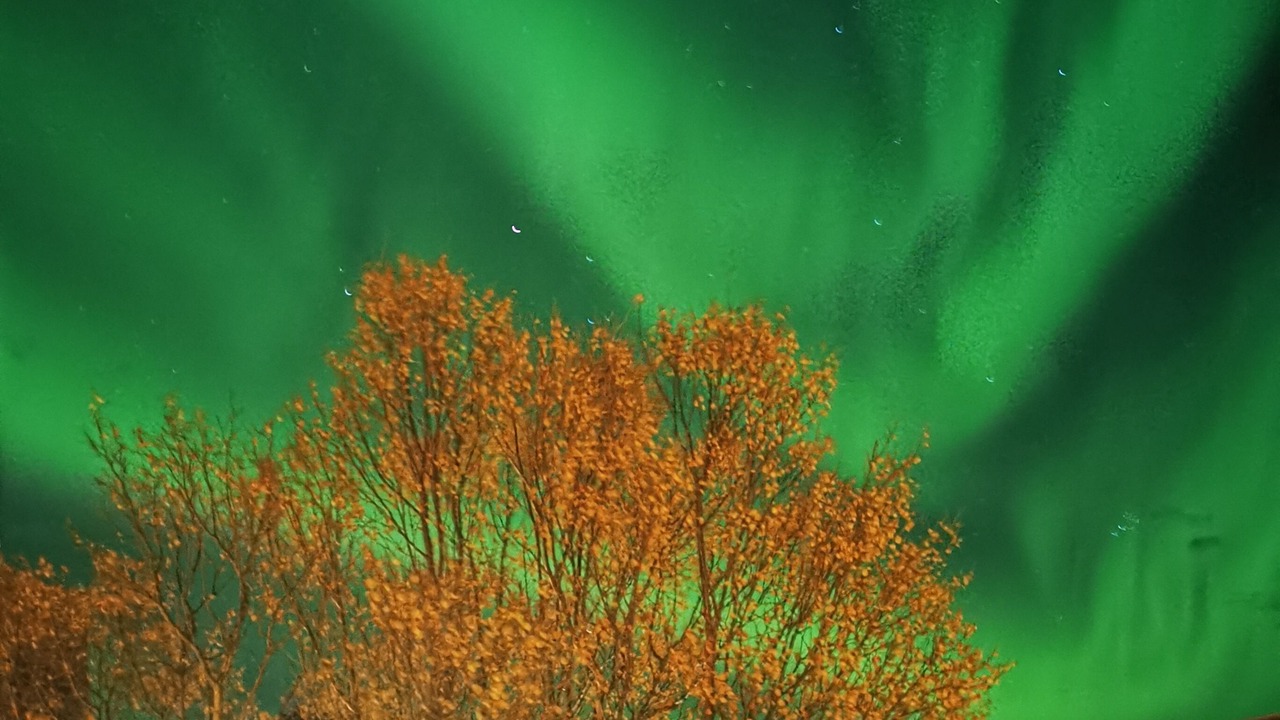 Photo of Outdoor in Henningsvaer
