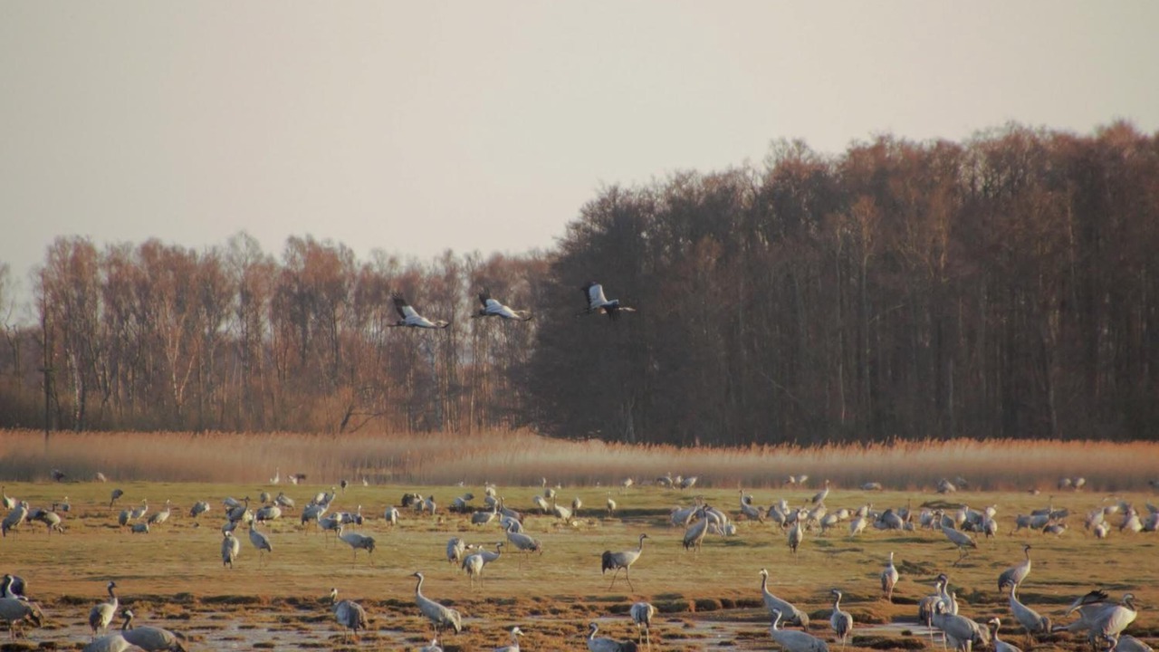 Photo of Outdoor in Andrarum