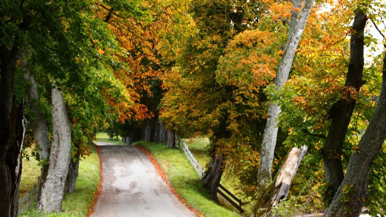 Photo of Outdoor in Andrarum