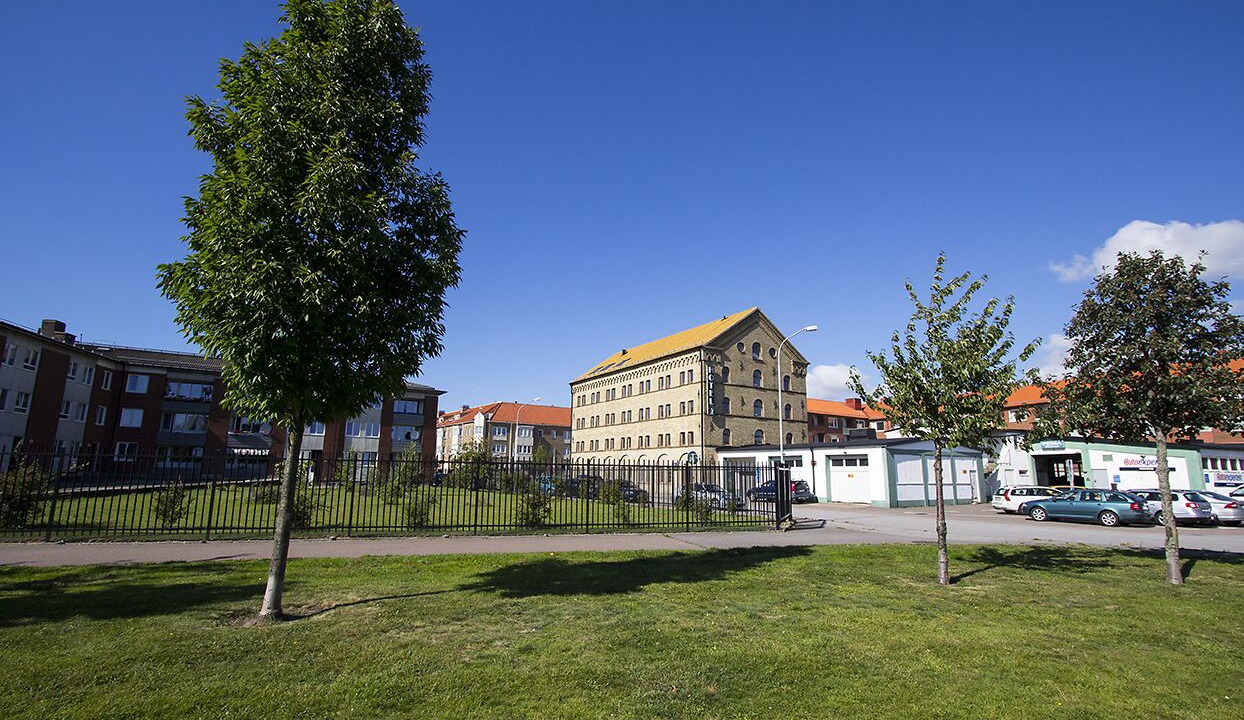 Photo of Outdoor in Dammhagen