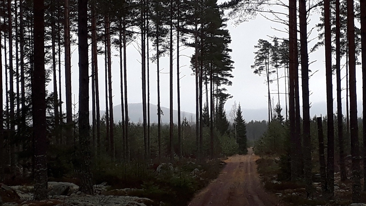 Photo of Outdoor in Hagfors