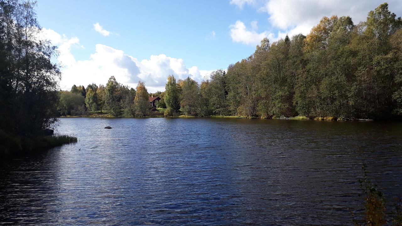 Photo of Others in Hagfors