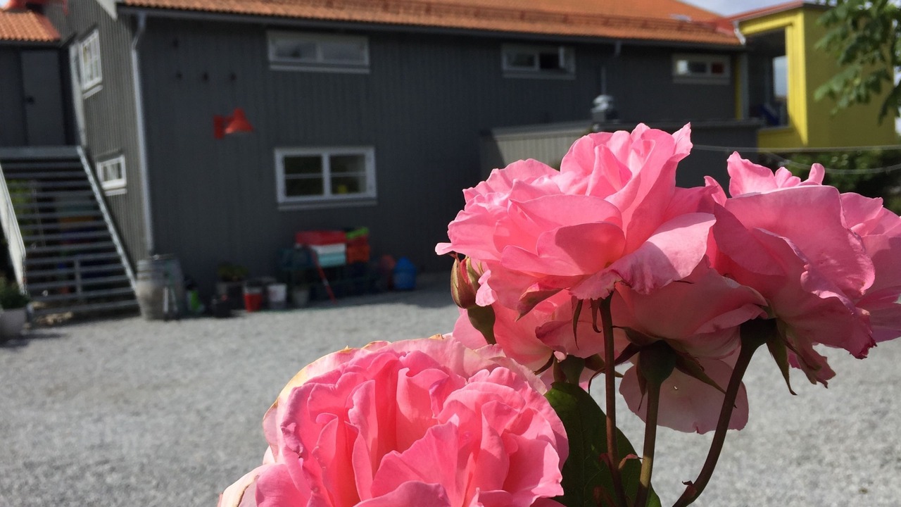 Photo of Outdoor in Edshultshall