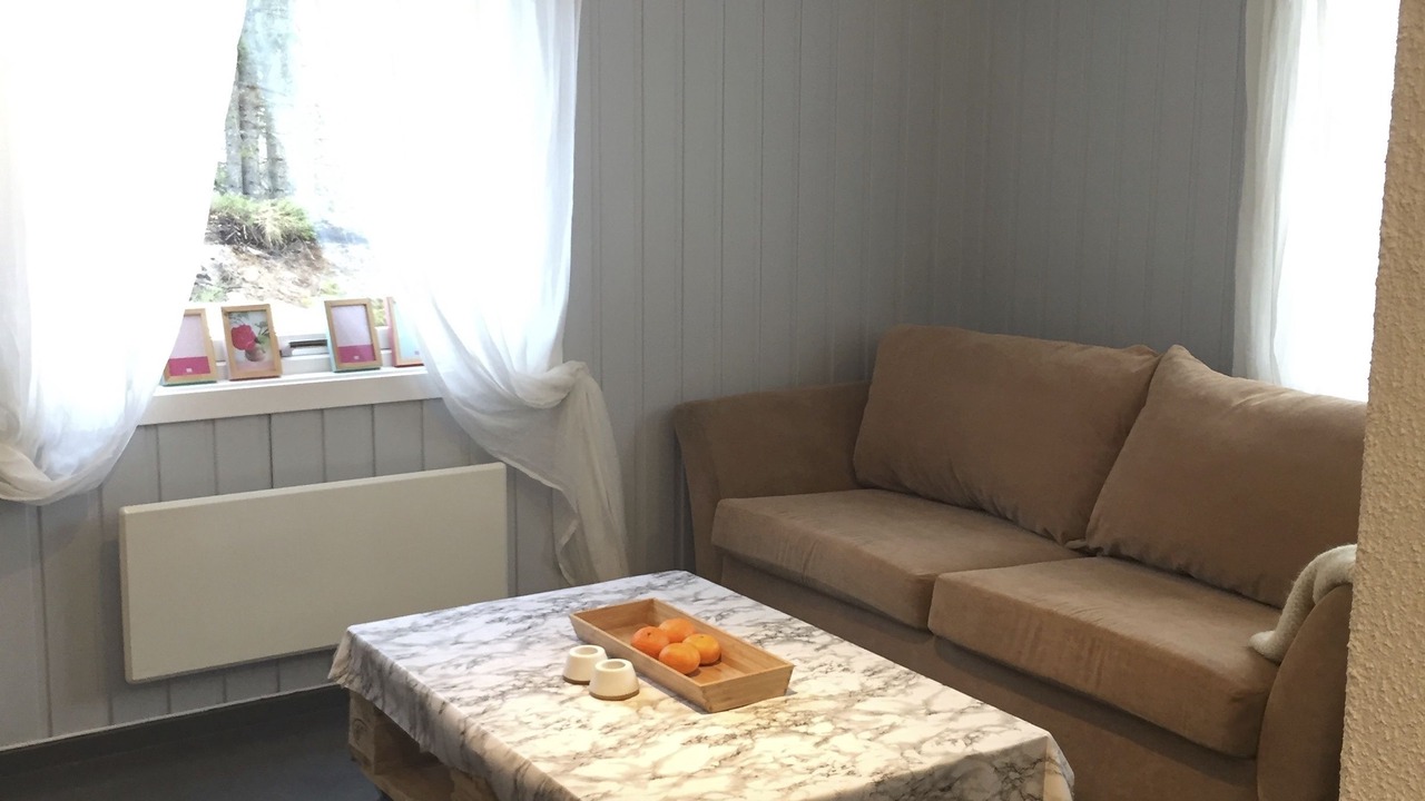 Photo of Livingroom in Hemsedal