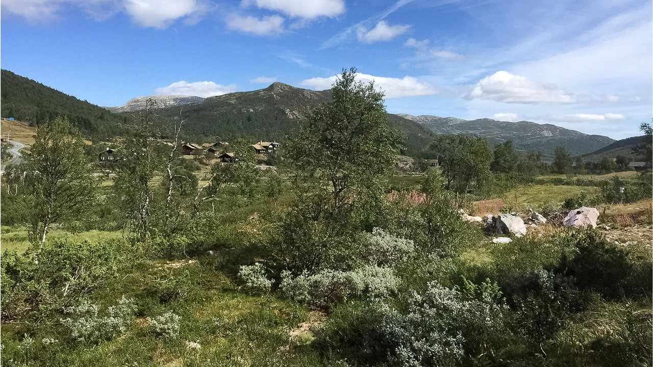 Photo of Outdoor in Rauland