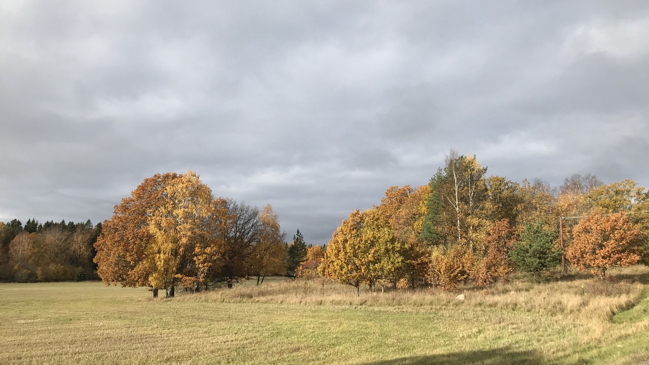 Photo of Outdoor in Varmdo
