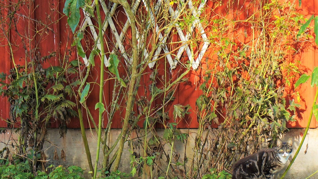 Photo of Outdoor in Floby