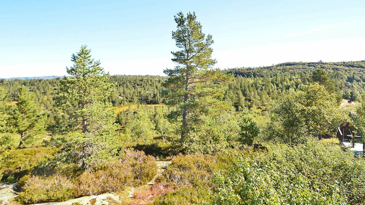 Photo of Outdoor in Aseral