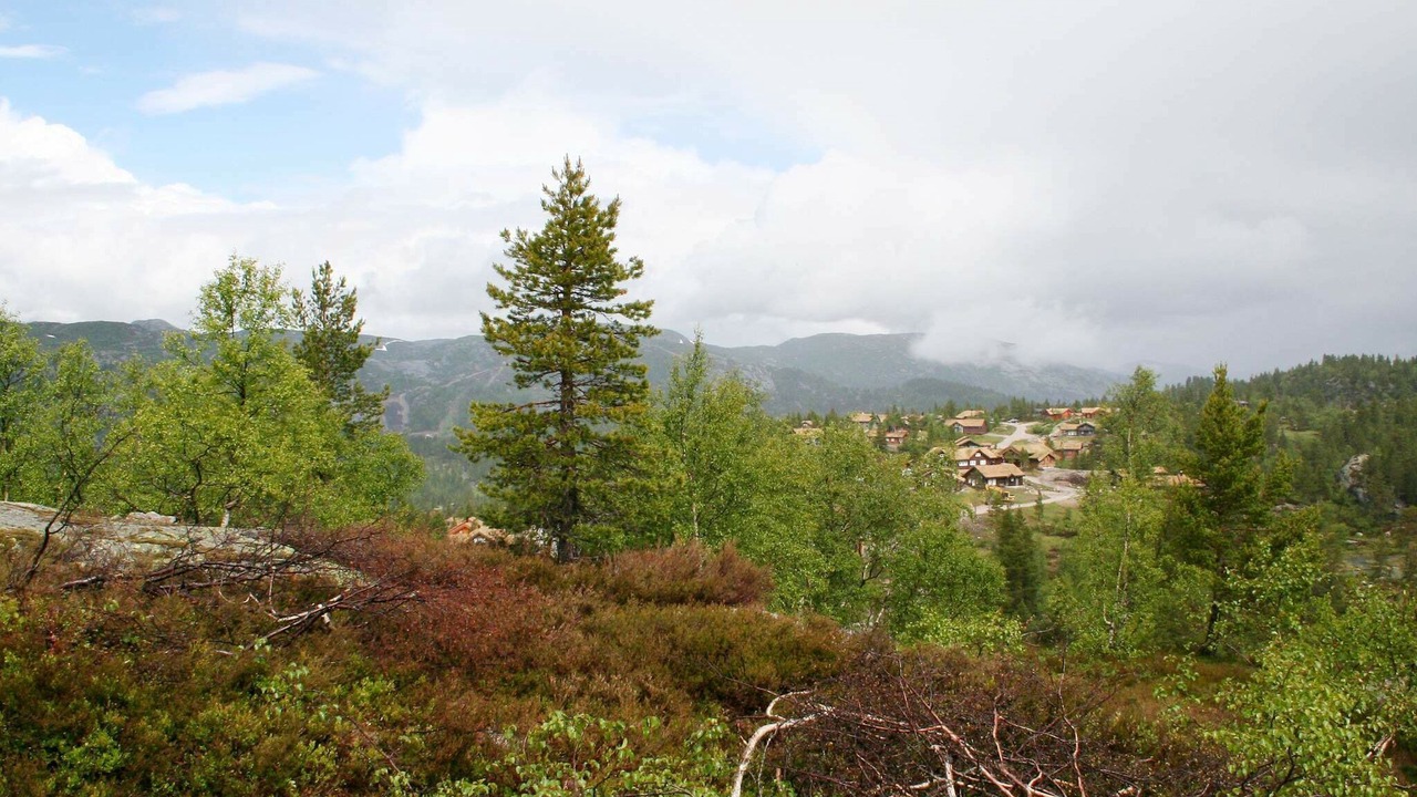 Photo of Outdoor in Aseral