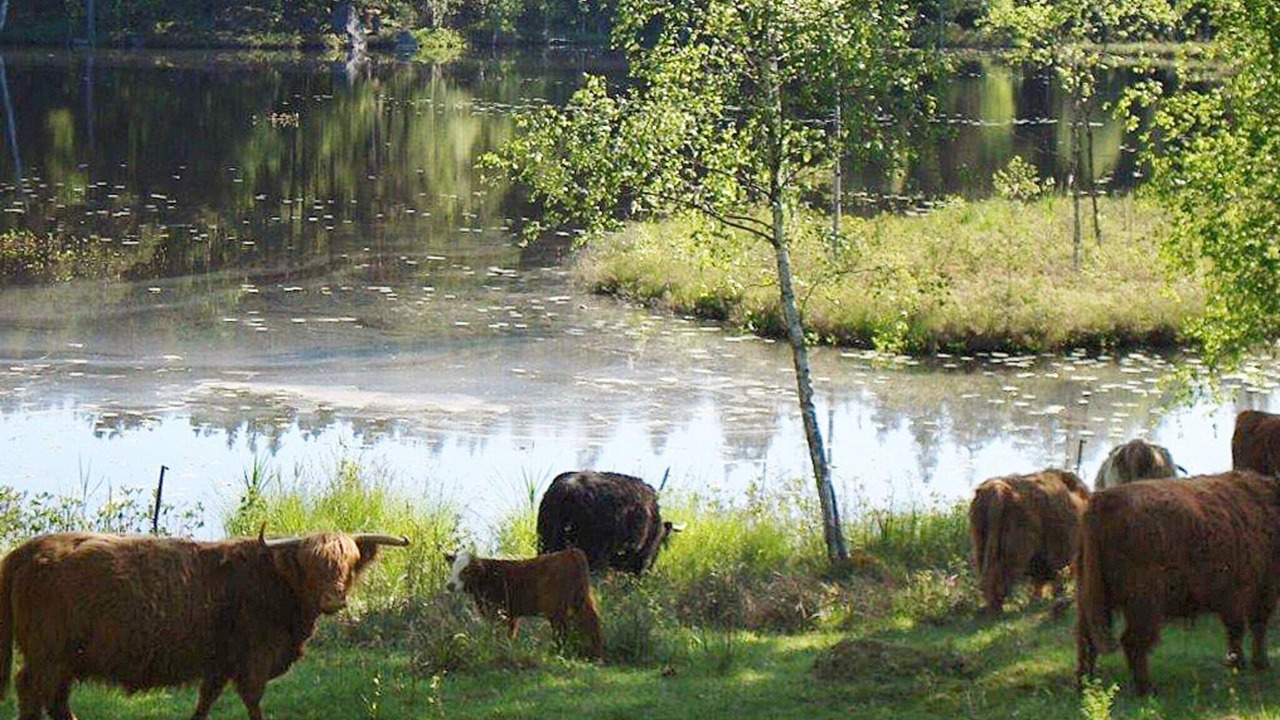 Photo of Others in Tvetaryd