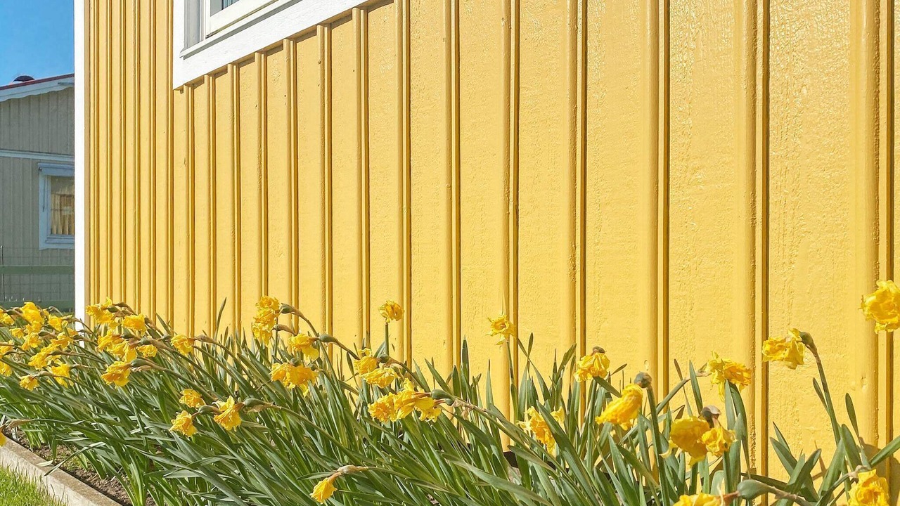 Photo of Outdoor in Tvaaker